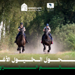 بوابة الخيل  