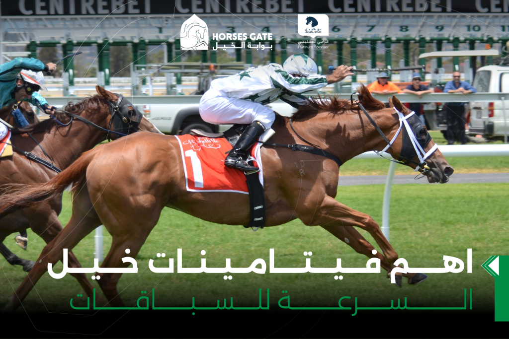 بوابة الخيل  