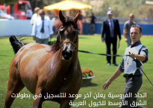 بوابة الخيل  