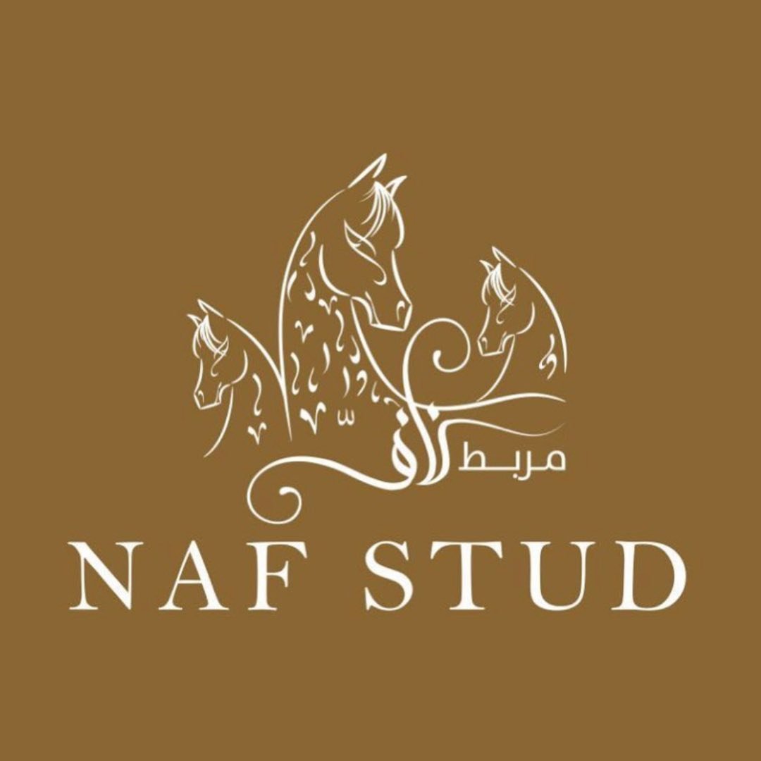 مربط ناف