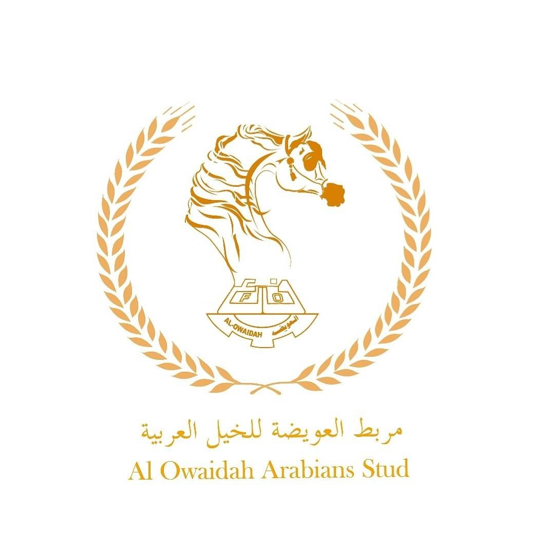 مربط العويضة للخيول العربية