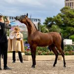 بوابة الخيل  