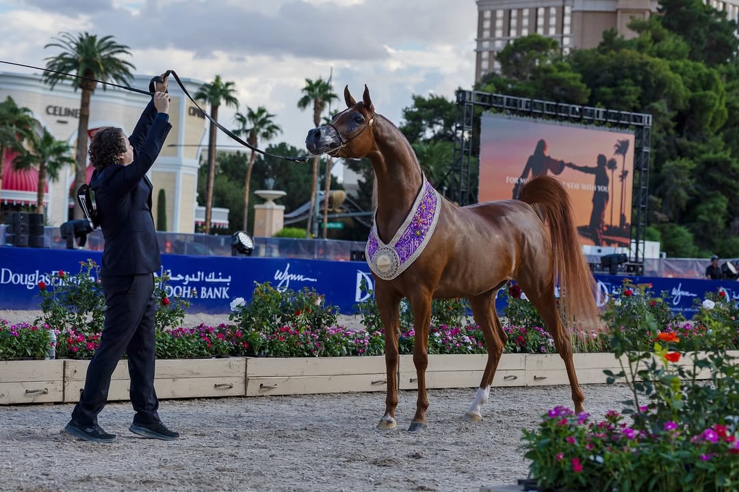 بوابة الخيل  