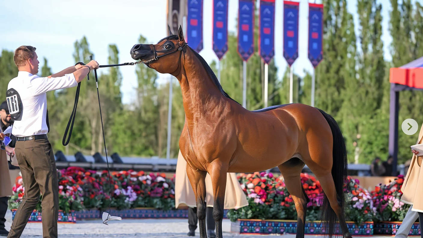 بوابة الخيل  