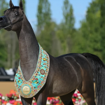 بوابة الخيل  