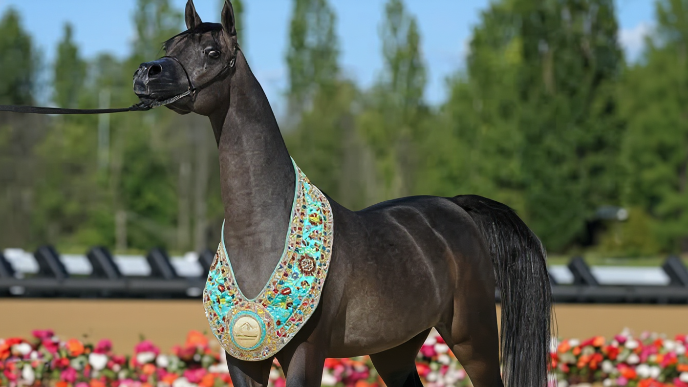 بوابة الخيل  