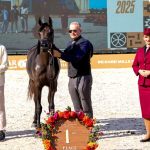 بوابة الخيل  
