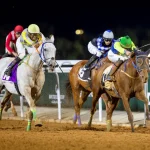 بوابة الخيل  