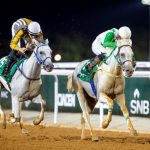 بوابة الخيل  