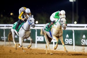 بوابة الخيل  
