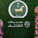بوابة الخيل  