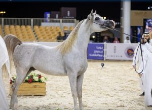 بوابة الخيل  
