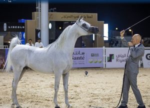 بوابة الخيل  
