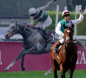 بوابة الخيل  