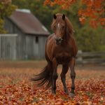 بوابة الخيل  