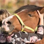 images 1 10 - بوابة الخيل بوابة الخيل
