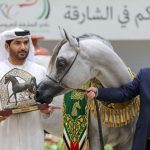 مربط الأريام - بوابة الخيل بوابة الخيل
