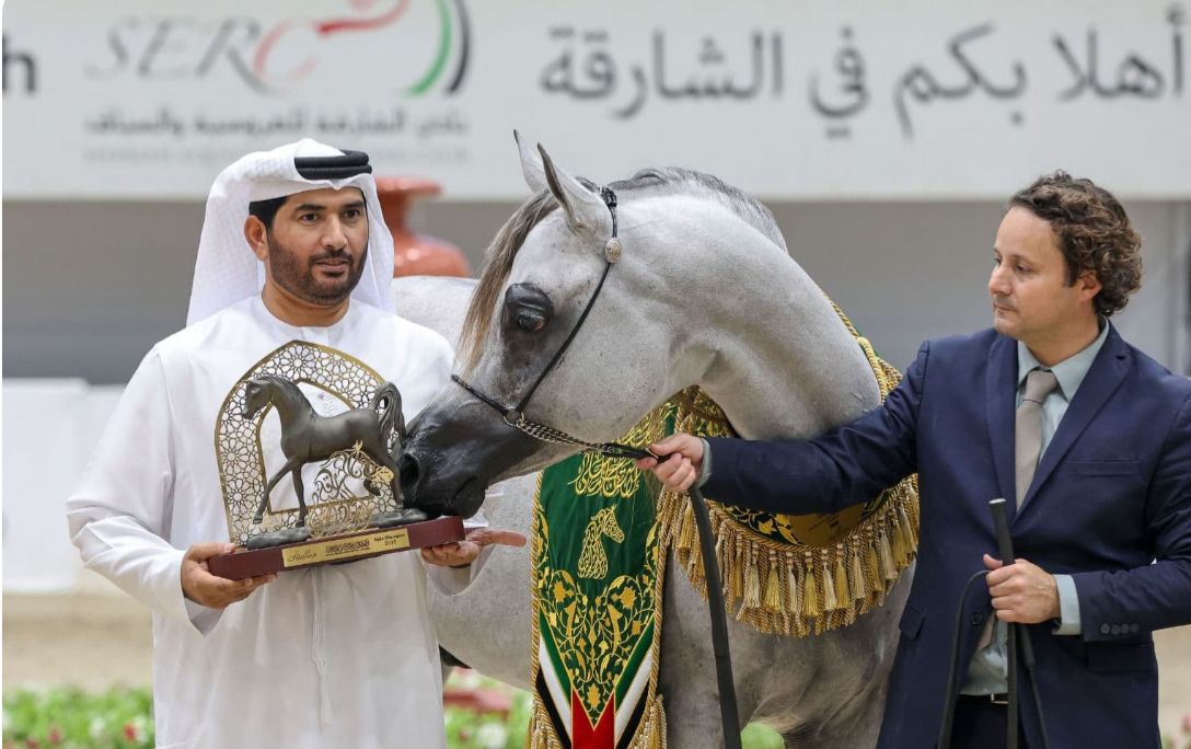 بوابة الخيل  