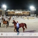 بوابة الخيل  