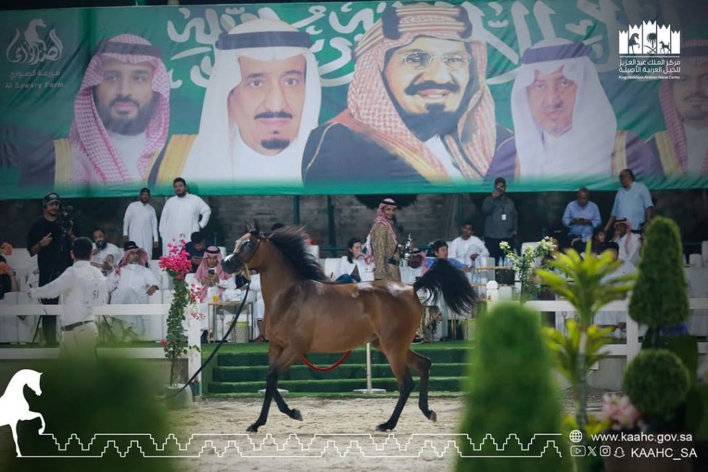 بوابة الخيل  