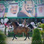 بوابة الخيل  