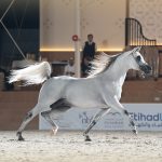 بوابة الخيل  