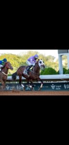 بوابة الخيل  