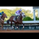 بوابة الخيل  