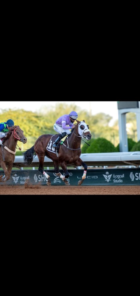 بوابة الخيل  