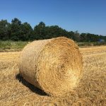 بوابة الخيل  تبن الحصان