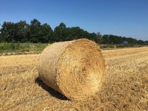 بوابة الخيل  تبن الحصان