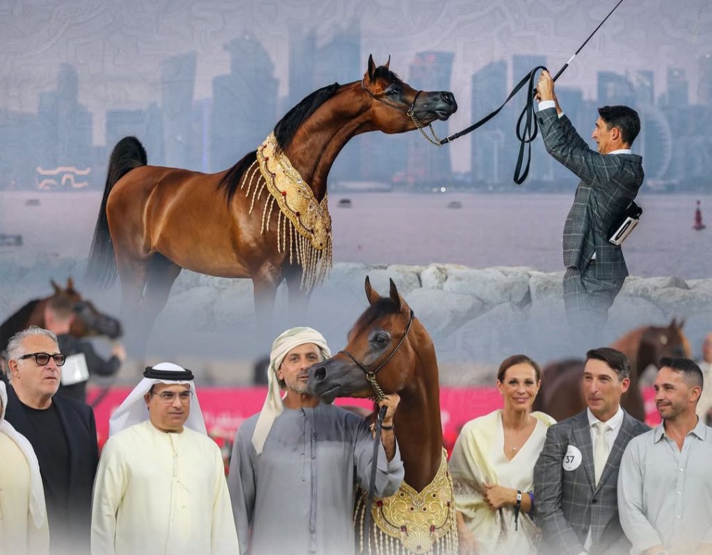 بوابة الخيل  