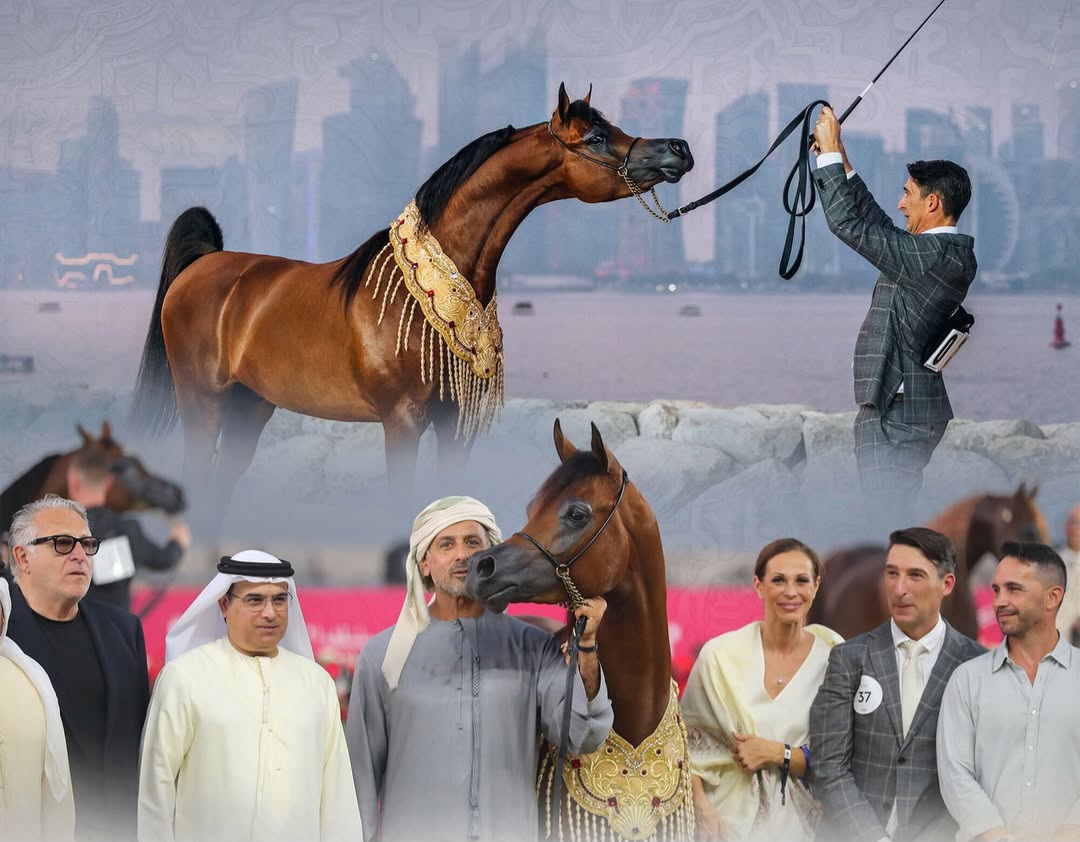 بوابة الخيل  