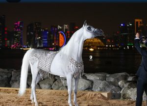 بوابة الخيل  