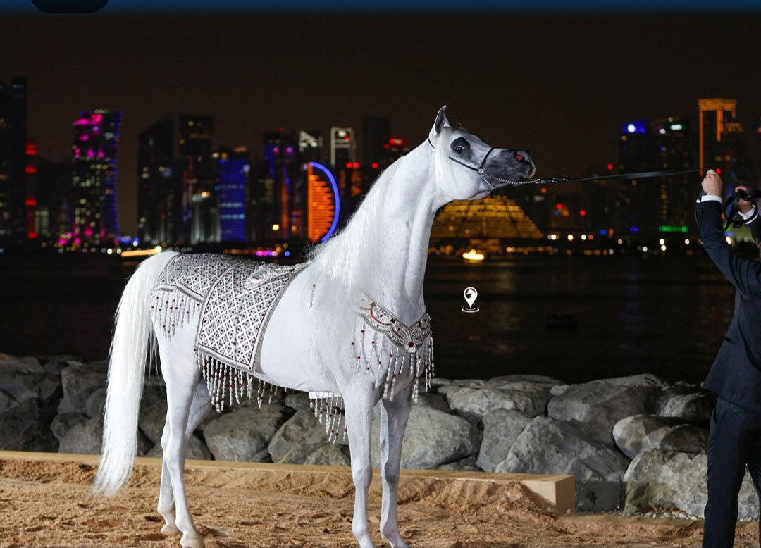 بوابة الخيل  