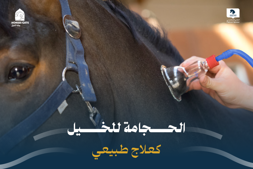 بوابة الخيل  حجامة الخيل