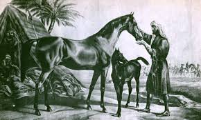 بوابة الخيل  