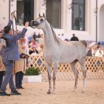 بوابة الخيل  