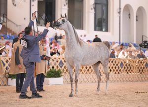 بوابة الخيل  