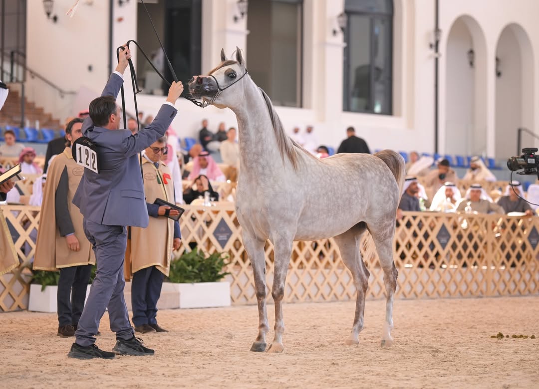 بوابة الخيل  