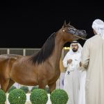 بوابة الخيل  