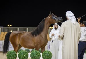 بوابة الخيل  