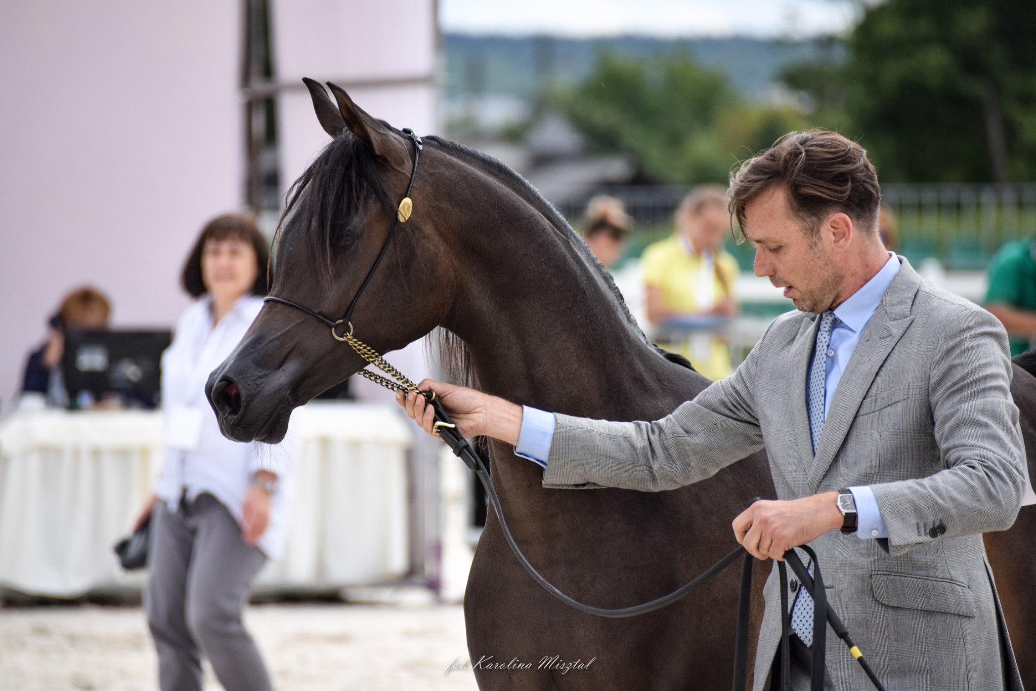 بوابة الخيل  الايكاهو قاعدة دخول المشي