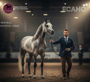 بوابة الخيل  