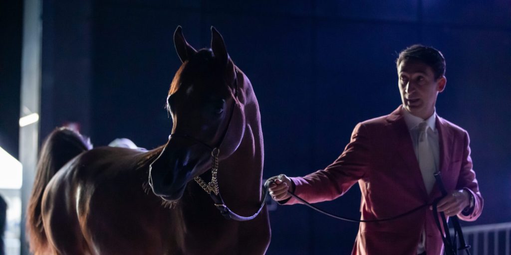 بوابة الخيل  