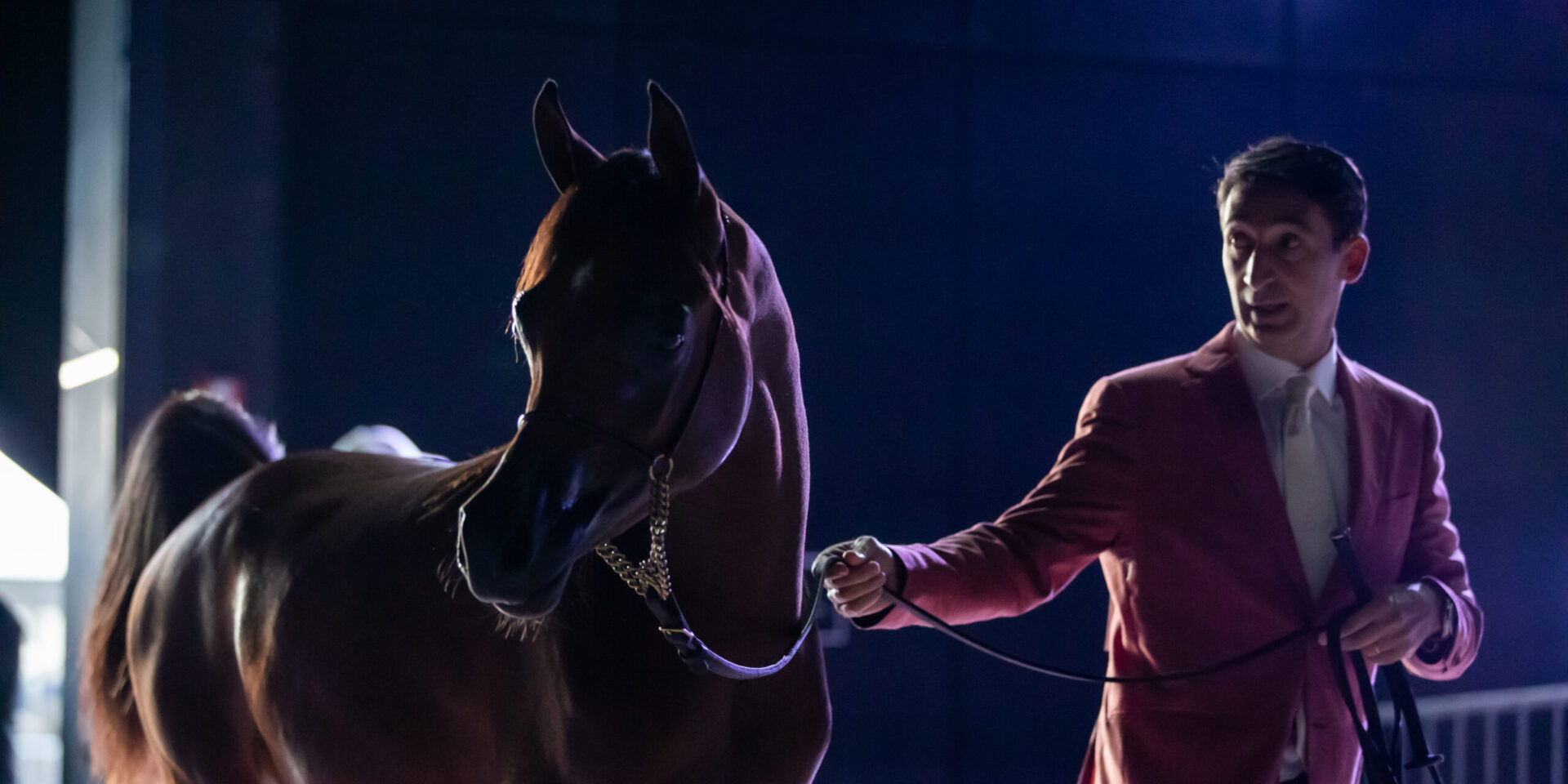 بوابة الخيل  