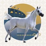 بوابة الخيل  مهرجان كتارا 2026