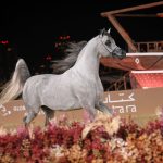 بوابة الخيل  