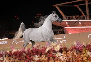 بوابة الخيل  