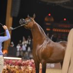 بوابة الخيل